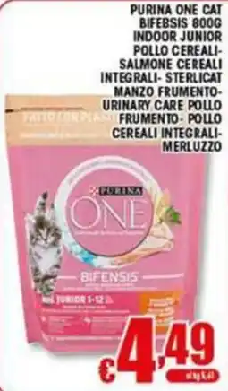 Sacoph Purina One Bifensis offerta