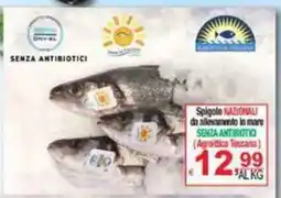 CTS Supermercati Spigole nazionali (Agricoltura Toscana) offerta