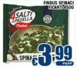 Sacoph Findus spinaci filanti offerta