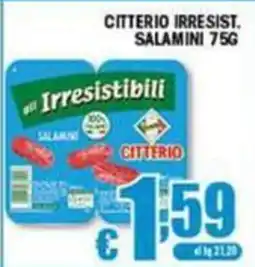 Sacoph Salamini Citterio offerta