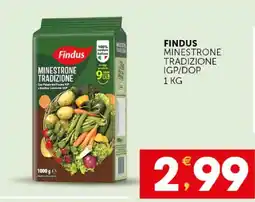 Issimo supermercado Findus Minestrone Tradizione offerta