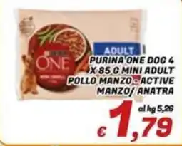 Idromarket Purina One Dog offerta