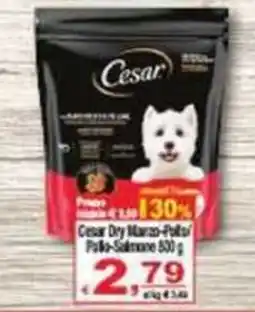 CTS Supermercati Cesar Dry Manzo-Pollo offerta