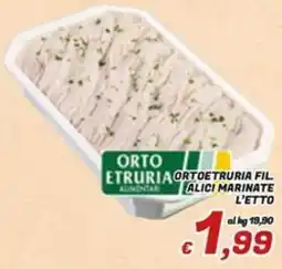 Idromarket Alici marinate offerta