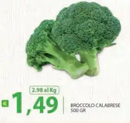 Supermercati Bruscoli Broccolo Calabrese offerta
