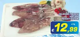 Idromarket Calamari freschi offerta