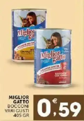 Miglior Gatto Bocconi