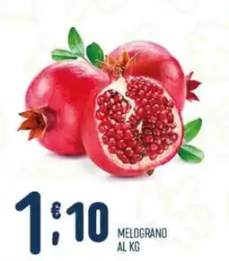 Gruppo Pascar Melograno offerta