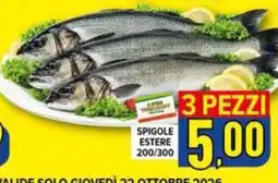 Iper Triscount Spigole estere offerta