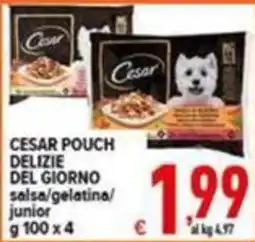 Iper Triscount Cesar pouch delizie del giorno salsa/gelatina/junior offerta
