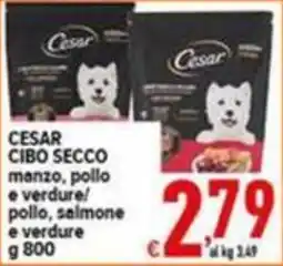 Iper Triscount Cesar cibo secco manzo, pollo e verdure offerta