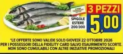 Iper Triscount Spigole estere offerta