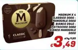 Idromarket Magnum classic offerta
