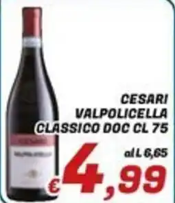 Idromarket Cesari Valpolicella Classico DOC offerta