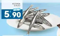 Mercadò Acciuga o alici offerta