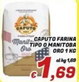 Idromarket Caputo farina tipo 0 Manitoba Oro offerta
