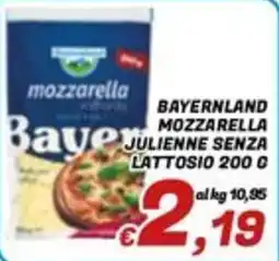 Idromarket Bayer mozzarella julienne senza lattosio offerta