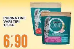 Supermercati Bruscoli Purina One vari tipi offerta