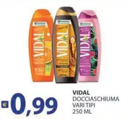 Supermercati Bruscoli Vidal docciaschiuma vari tipi offerta