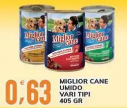 Supermercati Bruscoli Miglior cane umido offerta