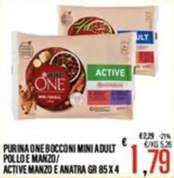 Purina One Bocconi Mini Adult Pollo e Manzo / Active Manzo e Anatra