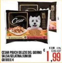 Supermercati EffePiù Cesar pouch delizie del giorno salsa/gelatina/junior offerta