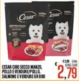 Supermercati EffePiù Cesar cibo secco manzo, pollo e verdure/pollo, salmone e verdure offerta
