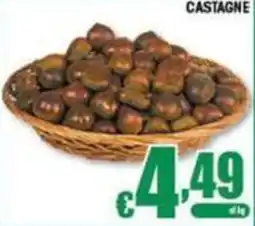 Sacoph Castagne offerta