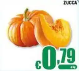 Sacoph Zucca offerta