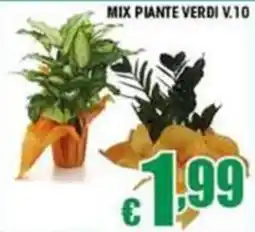 Sacoph Mix piante verdi v.10 offerta