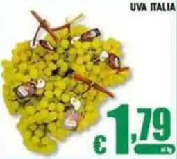 Sacoph Uva Italia offerta