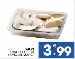 Sisa Salpa funghi porcini lamellati offerta