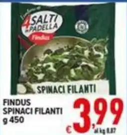 Iper Triscount Findus Spinaci Filanti offerta