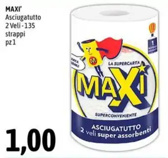 Asciugatutto Maxi