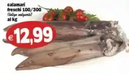 Il Castoro Supermercati calamari freschi offerta