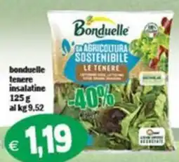Il Castoro Supermercati Bonduelle le tenere insalatine offerta