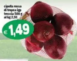 Il Castoro Supermercati cipolla rossa di tropea igp offerta