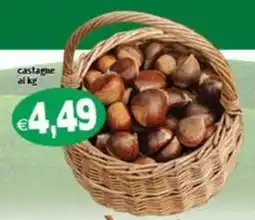 Il Castoro Supermercati castagne offerta