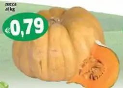 Il Castoro Supermercati Zucca offerta