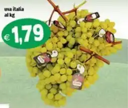 Il Castoro Supermercati Uva italia offerta