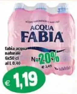 Il Castoro Supermercati Acqua Fabia offerta