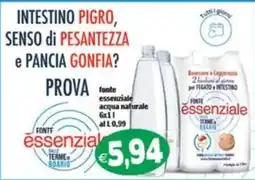 Il Castoro Supermercati Fonte essenziale acqua naturale offerta