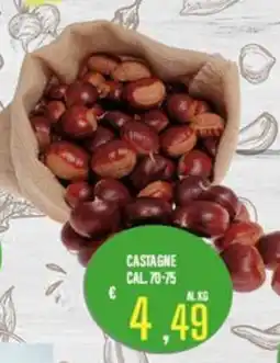 Supermercati EffePiù Castagne offerta