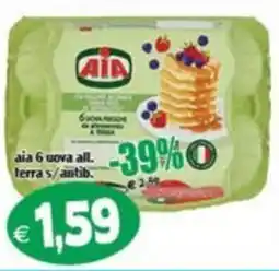 Il Castoro Supermercati Aia uova all. terra s/antib. offerta