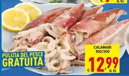 Iper Triscount Calamari offerta
