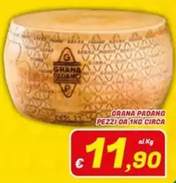 Idromarket Grana Padano offerta