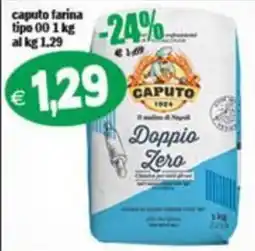 Il Castoro Supermercati Caputo Doppio Zero offerta