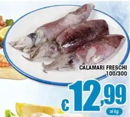 Sacoph Calamari freschi offerta