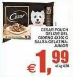 Pewex Cesar Pouch Delizie del Giorno Salsa-Gelatina Junior offerta