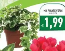 Pim Supermercati Mix piante verdi offerta